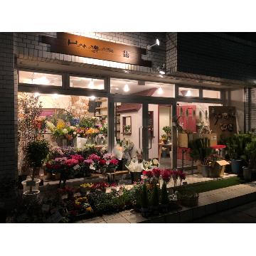 �X�ܓ��ω摜
