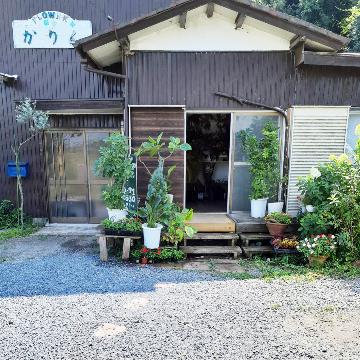 �X�܊O�ω摜