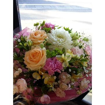 �X�^�b�t�摜