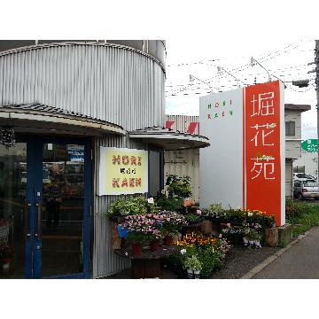 �X�܊O�ω摜