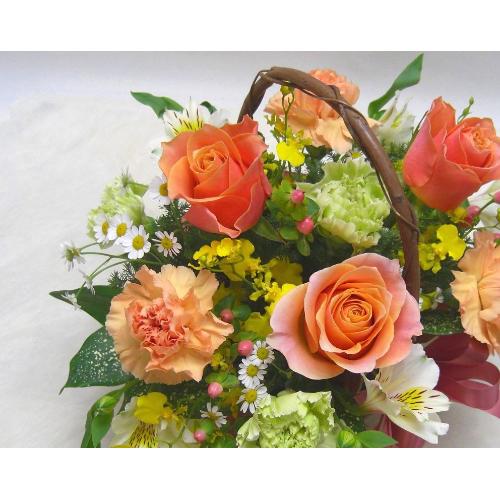 ���I�����W�K�N�ƃJ�[�l�[�V�����̃A�����W���a�����E���l�̓��E�����L�O���E���ʁE�E�E���s���{��悩�炨�͂����܂�2