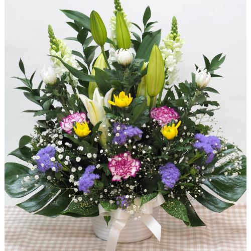 ���J���t���Ȃ������A�����W�����ފ݁E�����E�R����E�V����E�@�v�E�@���ɁE�E���s���{��悩�炨�͂����܂��B