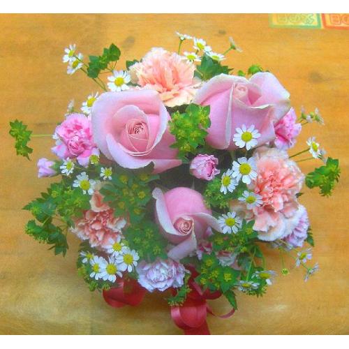���s���N�o���̃A�����W���a�����E�����L�O���E����E���ʂɂ��E�E���s���{��悩�炨�͂����܂��B2