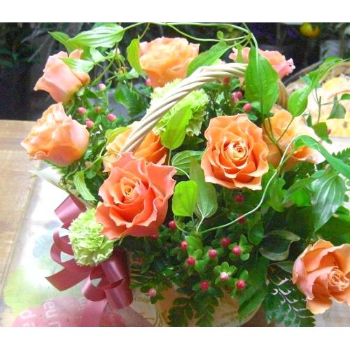 ���I�����W�o���̃A�����W�����l�̓��E�����j���E�J�X�j���E�a�����ɁE�E�E���s���{��悩�炨�͂����܂��B
