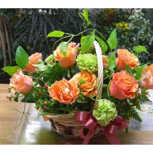 ���I�����W�o���̃A�����W�����l�̓��E�����j���E�J�X�j���E�a�����ɁE�E�E���s���{��悩�炨�͂����܂��B2
