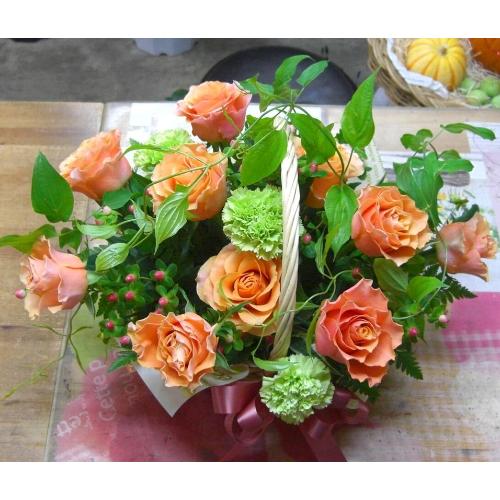 ���I�����W�o���̃A�����W�����l�̓��E�����j���E�J�X�j���E�a�����ɁE�E�E���s���{��悩�炨�͂����܂��B3