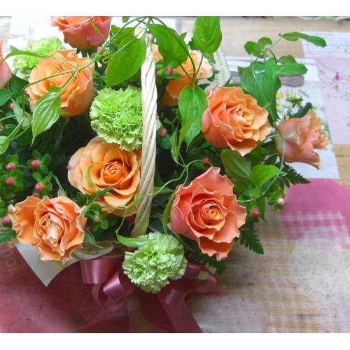 ���I�����W�o���̃A�����W�����l�̓��E�����j���E�J�X�j���E�a�����ɁE�E�E���s���{��悩�炨�͂����܂��B4