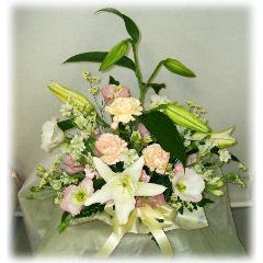 ���W���F�̌䋟���A�����W���@���E������݁E���ފ݁E�����̂����O�ɁE�E���s���{��悩�炨�͂����܂��B�@