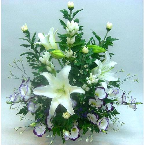 �����Ǝ��̌䋟���A�����W���@���E���ފ݁E������݁E�����E�ʖ�E���ʎ��E������̖@�v�ɁA���s���{��悩�炨�͂����܂��B