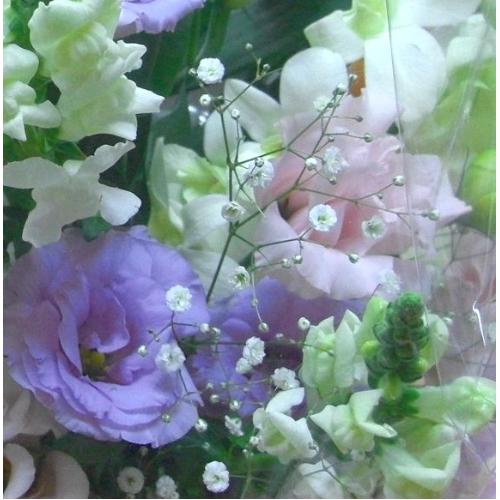 ���䋟���A�����W�E�p�X�e���n�E�m�ԁ��@���E������݁E���ފ݁E�����E�ʖ�E���ʎ��E�l�\����E������E���~�̖@�v�E���O�ɁA���s���{��悩�炨�͂����܂��B2