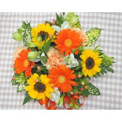 �����C�����ς��Ђ܂��A�����W���r�^�~���J���[�̃A�����W���E�a�����E����E���ʂȂǂɁE�E�E���s���{��悩�炨�͂����܂��B