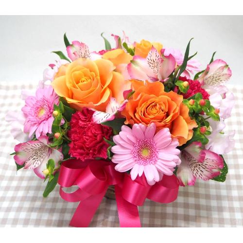 ���I�����W�K�N�ƃK�[�x���̃A�����W���a�����E���ʁE�����L�O���E����ɁE�E���s���{��悩�炨�͂����܂��B