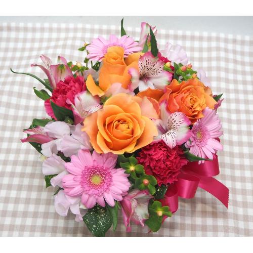 ���I�����W�K�N�ƃK�[�x���̃A�����W���a�����E���ʁE�����L�O���E����ɁE�E���s���{��悩�炨�͂����܂��B2
