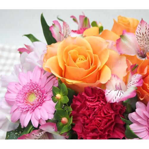 ���I�����W�K�N�ƃK�[�x���̃A�����W���a�����E���ʁE�����L�O���E����ɁE�E���s���{��悩�炨�͂����܂��B3
