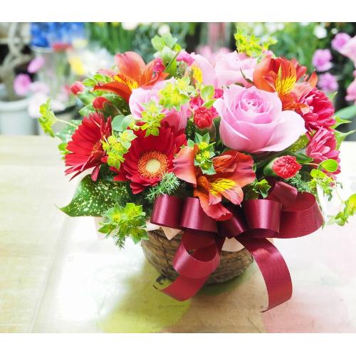 ���Z���ԃs���N�n�̃A�����W���a�����E���l�̓��E�����L�O���E����E���ʂɂ��E�E���s���{��悩�炨�͂����܂��B3