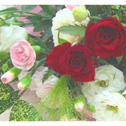 ���ԃo�����C���̃u�[�P����j�����E���l�̓��E�a�����E�����L�O���E���ʂɂ��E�E���s���{��悩�炨�͂����܂��B2