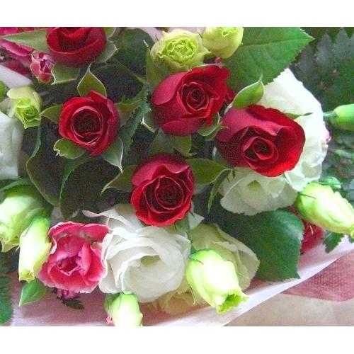 ���ԃo�����C���̃u�[�P����j�E�a�����E���l�̓��E�����L�O���E���ʂɂ��E�E���s���{��悩�炨�͂����܂��B3
