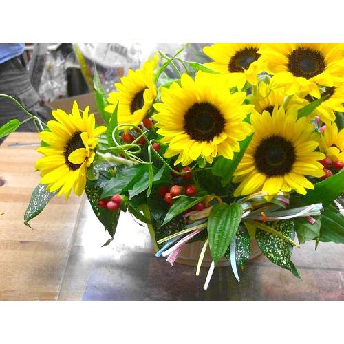 ���q�}���������ς��A�����W�������L�O���E���������E�a�����E���j�����ɑ��s���{��悩�炨�͂����܂��B