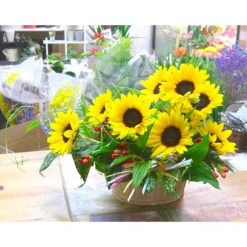 ���q�}���������ς��A�����W�������L�O���E���������E�a�����E���j�����ɑ��s���{��悩�炨�͂����܂��B2