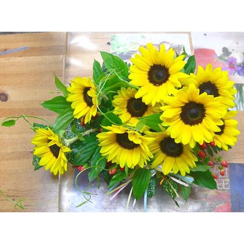 ���q�}���������ς��A�����W�������L�O���E���������E�a�����E���j�����ɑ��s���{��悩�炨�͂����܂��B3