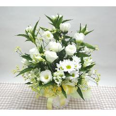 �����e����ꂽ���n�A�����W���S����̌���݁A�����Ă���ꂪ�ł܂���悤�ɁE�E�E���s���{��悩�炨�͂����܂��B