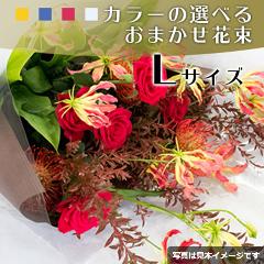 ���܂����ԑ�L�T�C�Y