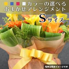 ���܂����A�����W�����gS�T�C�Y