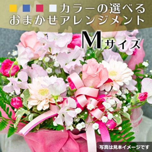 ���܂����A�����W�����gM�T�C�Y