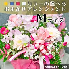 ���܂����A�����W�����gM�T�C�Y