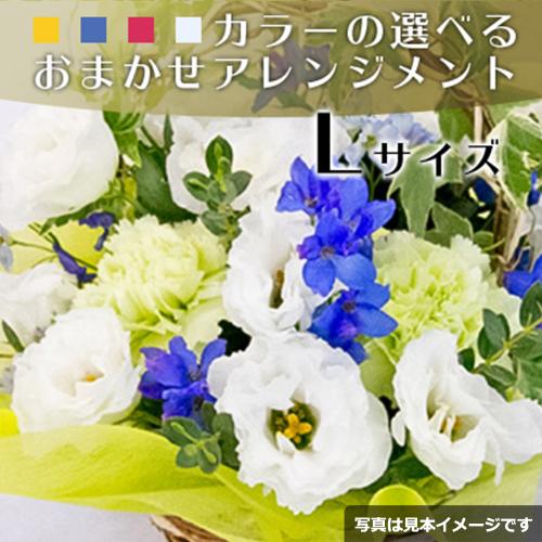 ���܂����A�����W�����gL�T�C�Y
