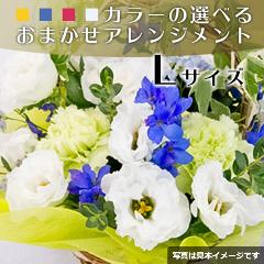 ���܂����A�����W�����gL�T�C�Y