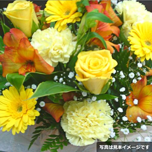 ���̓��A�����W