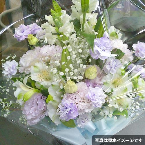 ���ފ݁E�������A�����W