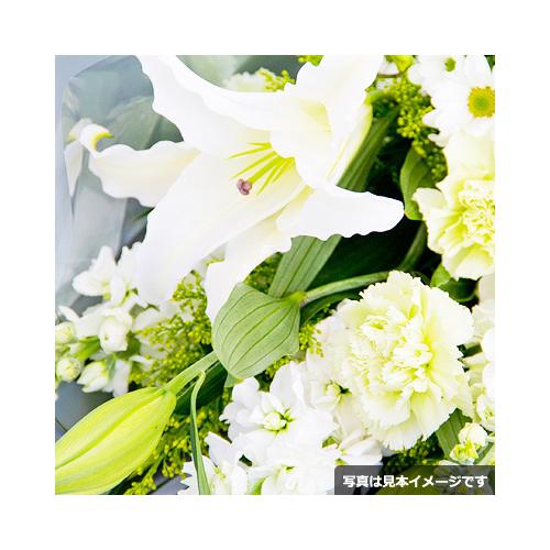 ���ފ݁E�������ԑ�2