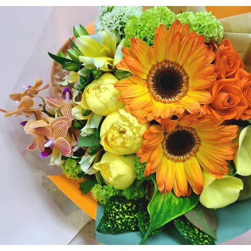 �C�G���[�I�����W�n�u�[�P