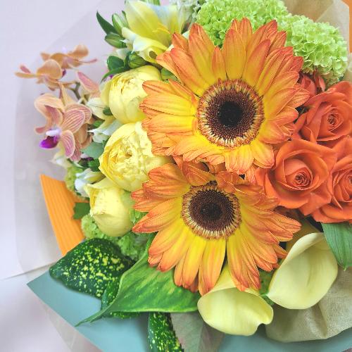 �C�G���[�I�����W�n�u�[�P2