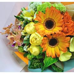 �C�G���[�I�����W�n�u�[�P