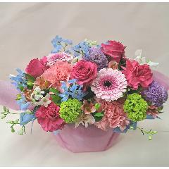 �s���N���S�̃A�����W�����g