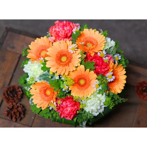 ���ʉ�u�K�[�x���A�����W�����gM�v�I�����W