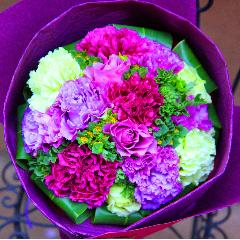 �G���K���g�ȃp�[�v�����K�N�I�u�p�[�v�����E���h�E�u�[�P�v�l
