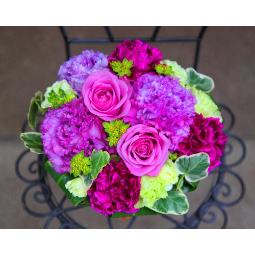 ����ς��K�N�I�yLe Rose(�� ���[�[�jM �p�[�v��3