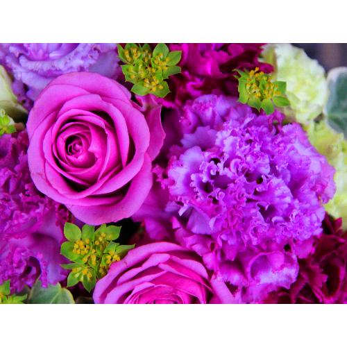 ����ς��K�N�I�yLe Rose(�� ���[�[�jM �p�[�v��4