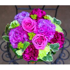 ����ς��K�N�I�yLe Rose(�� ���[�[�jM �p�[�v��