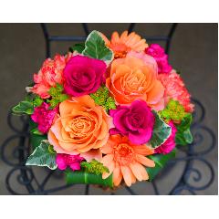 ����ς��K�N�I�yLe Rose(�� ���[�[�jM �r�r�b�h�z