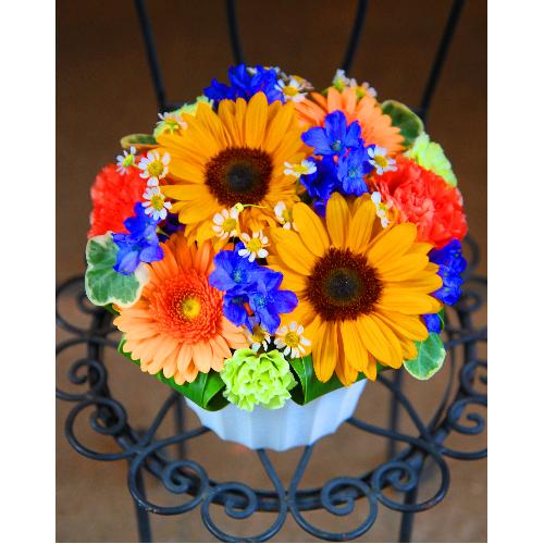 �u��������A�������肪�Ƃ��v�Ђ܂��A�����W2