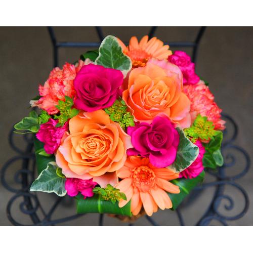 ����ς��K�N�I�yLe Rose(�� ���[�[�jM �r�r�b�h�z4