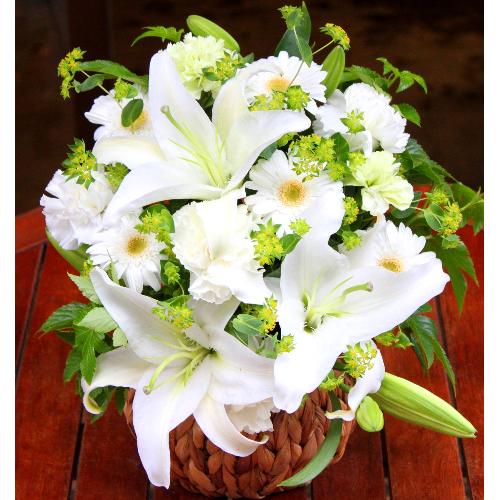 ���炩�Ȕ��������u�������A�������[�v�z���C�gR07ARW