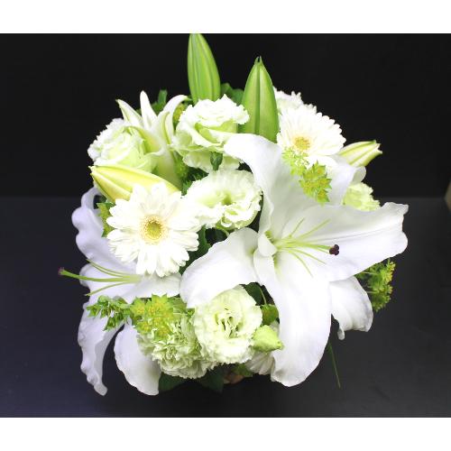 ���炩�Ȕ��������u�������A�������[�v�z���C�gR05ARW2