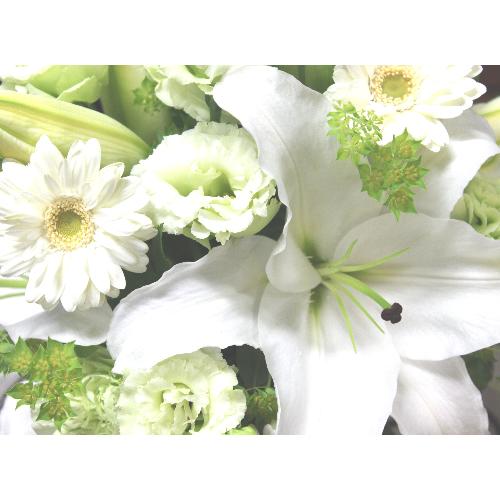 ���炩�Ȕ��������u�������A�������[�v�z���C�gR05ARW3