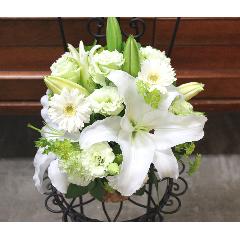 ���炩�Ȕ��������u�������A�������[�v�z���C�gR05ARW